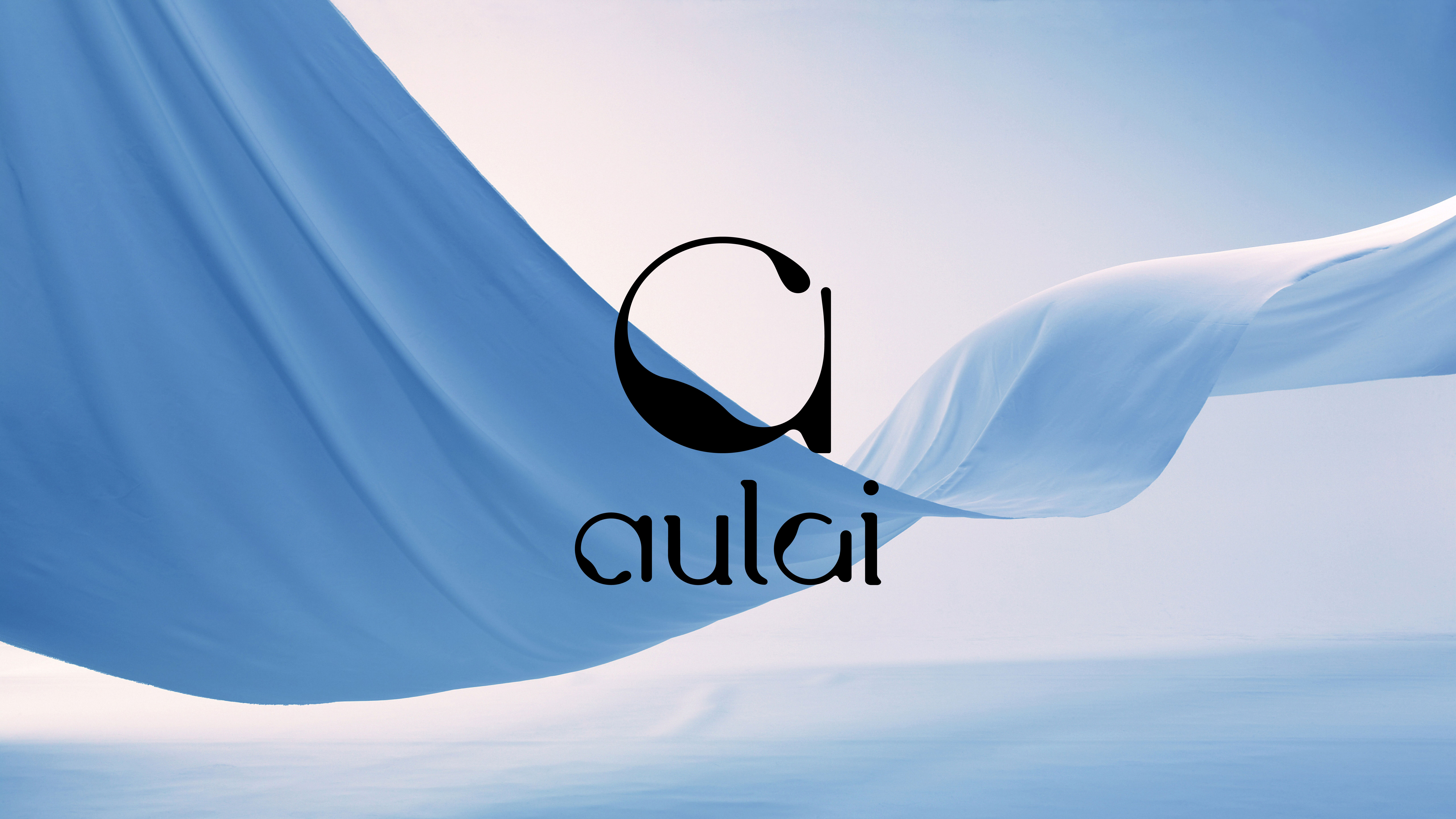 aulai 孕妇装品牌设计封面